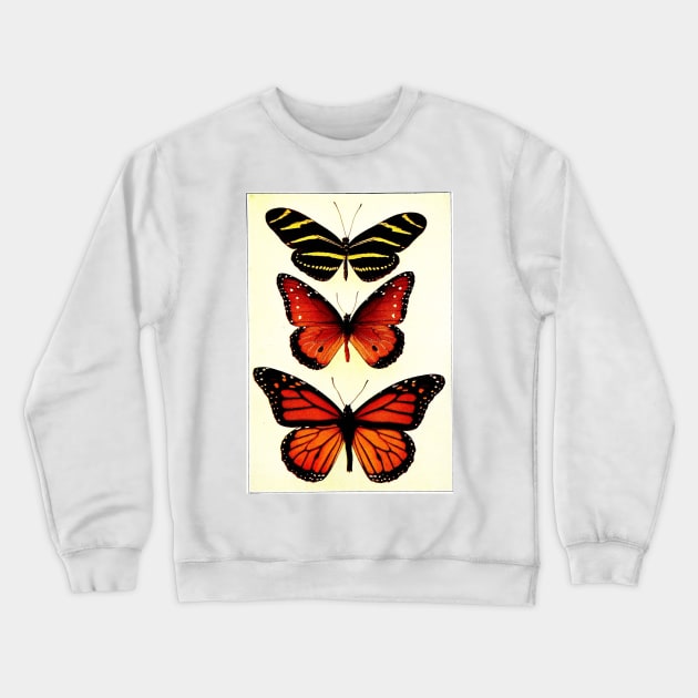 Zebra and Milkweed Butterflies, 1904 Crewneck Sweatshirt by gumbogirlonline
